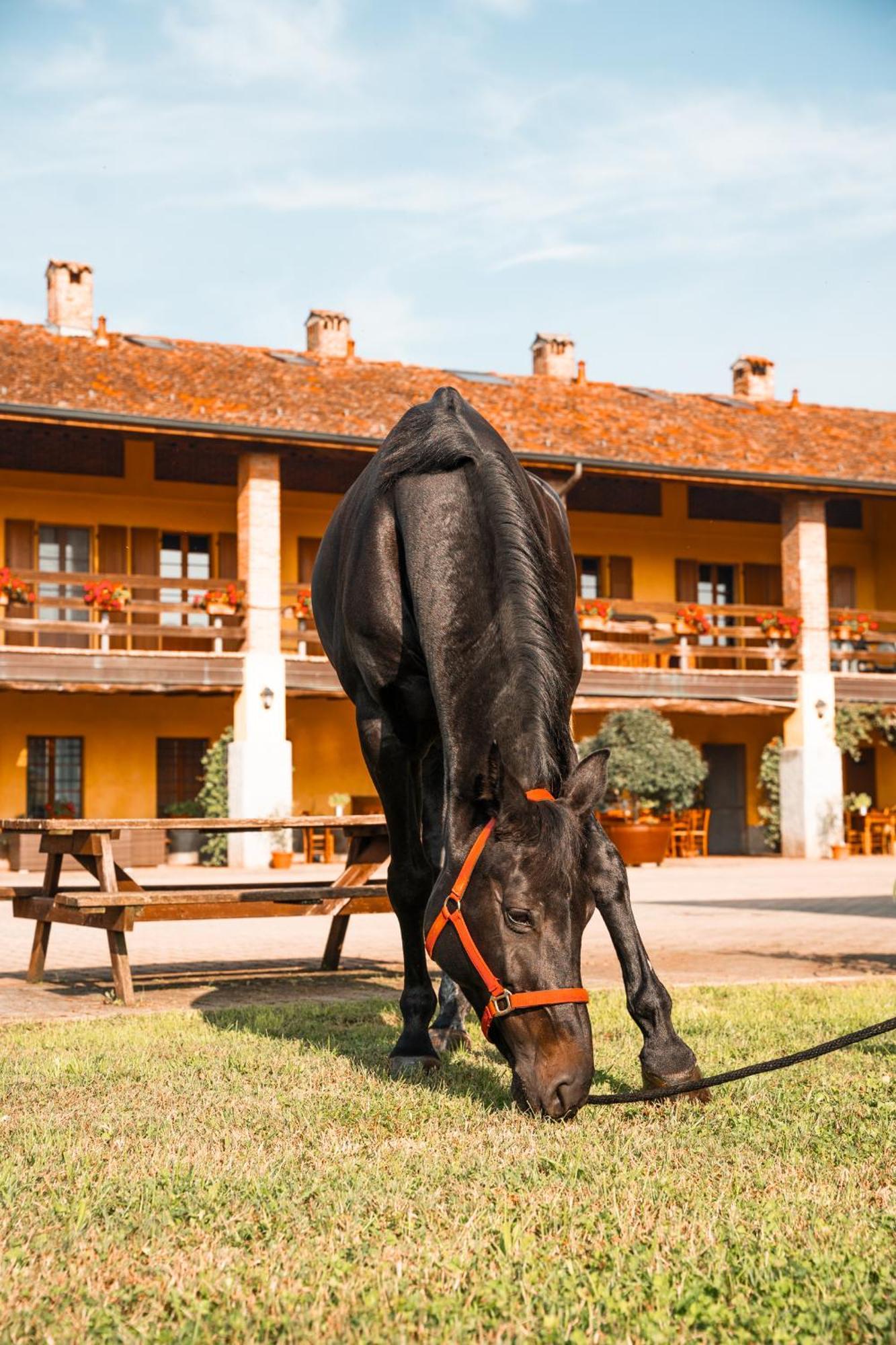 Agriturismo Bassanella Тревільо Екстер'єр фото